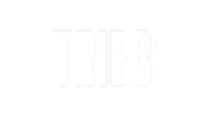 TRIB3 logo.